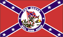 Flagge - The South will rise again