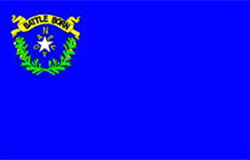Flagge Nevada