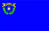 Flagge Nevada
