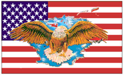 Flagge - USA Eagle