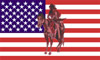 Flagge - USA Indian Horse