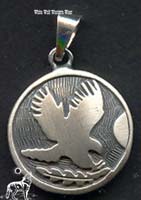 Indianische Sternzeichen Falke